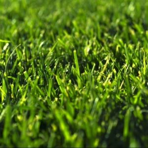 Meet your Posher, Junior